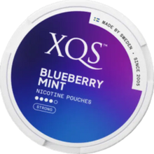 XQS Blueberry Mint S4