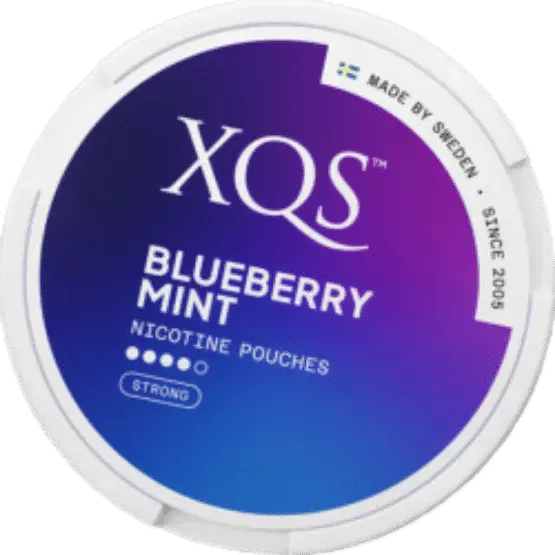 XQS Blueberry Mint S4
